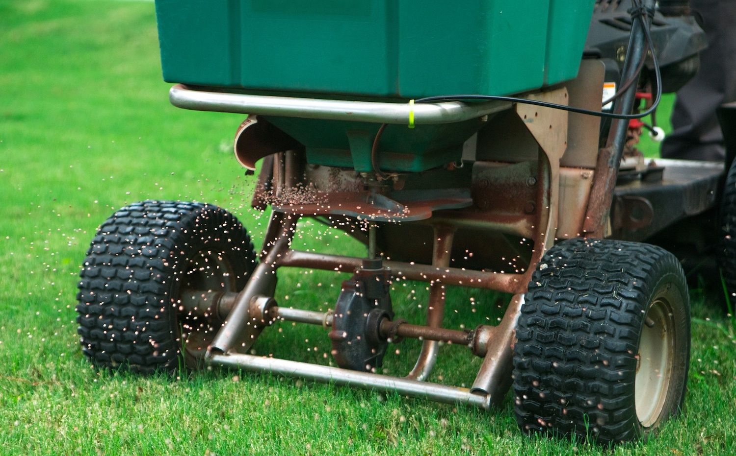 The Ultimate Texas Lawn Care Guide